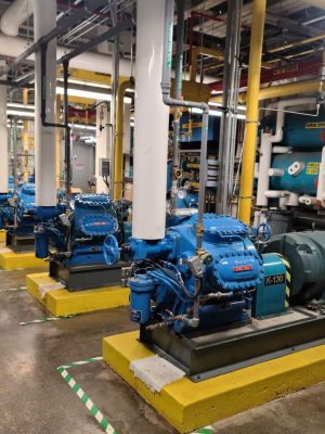 WhatsApp Image 2024-04-02 at 4.43.57 p. m. (5)